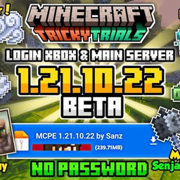 Minecraft 1.21.110.22