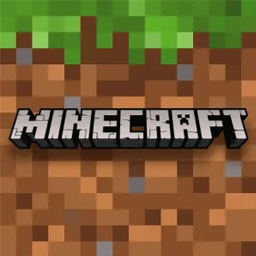 Minecraft 1.21.110.20